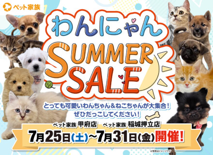 7月25日(土)～31日(金)限定『わんにゃんSUMMERSALE』開催！