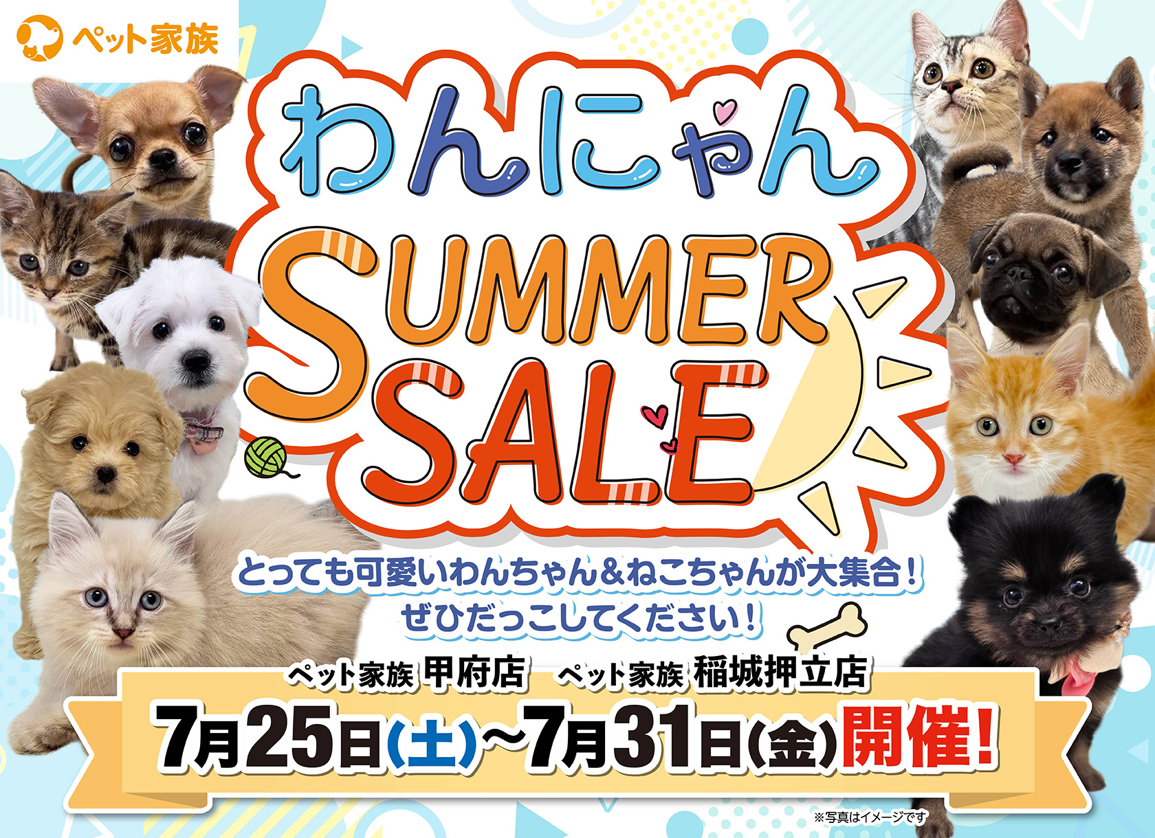 7月25日(土)～31日(金)限定『わんにゃんSUMMERSALE』開催！