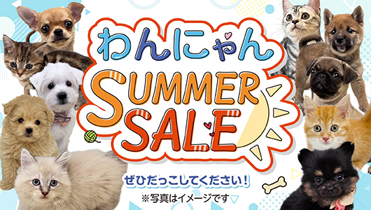 7月25日(土)〜7月31日(金) 『わんにゃんSUMMERSALE』を開催！