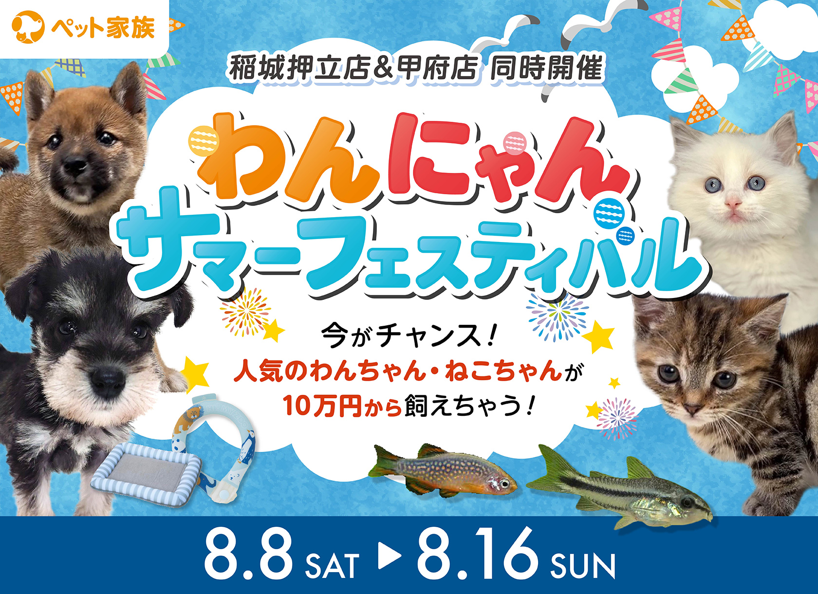 8月8日(土)〜16日(日) 『わんにゃんサマーフェスティバル』開催！