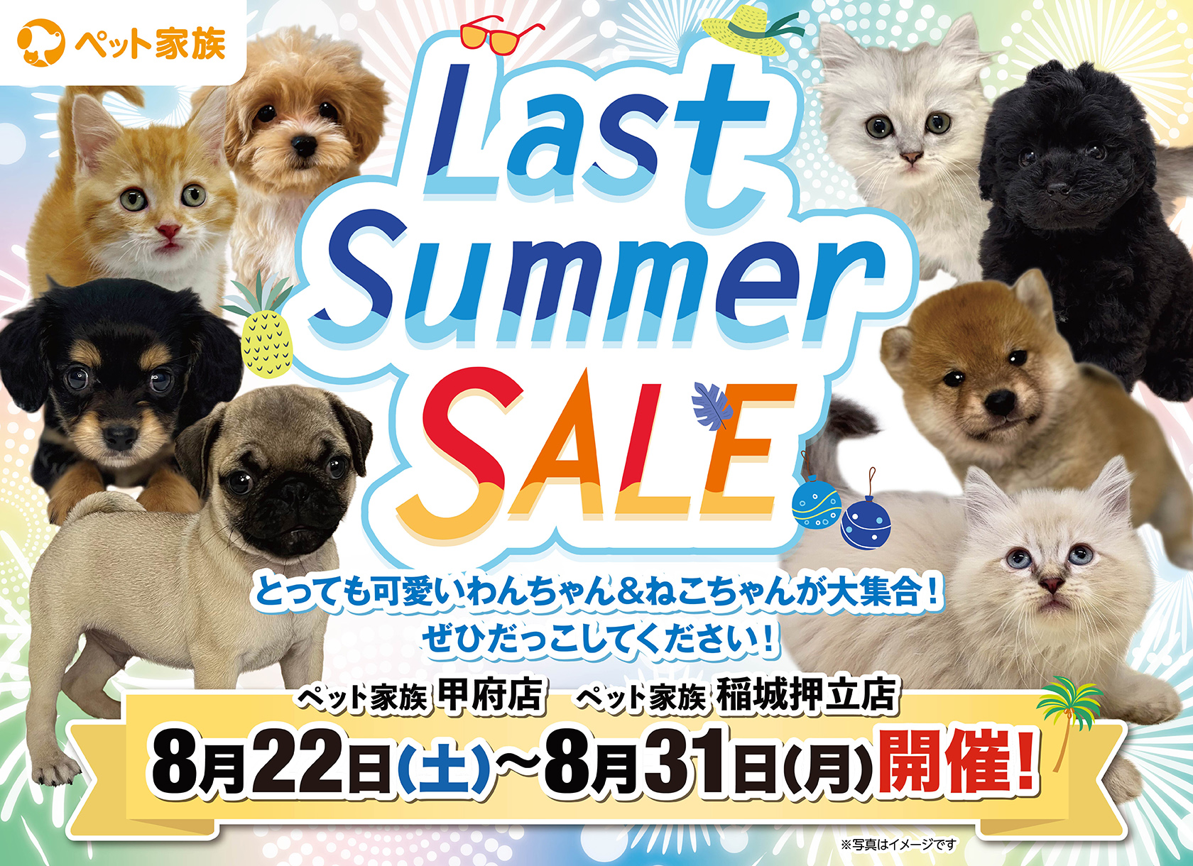 8月22日(土)〜31日(月) 『LastSummerSALE』を開催！
