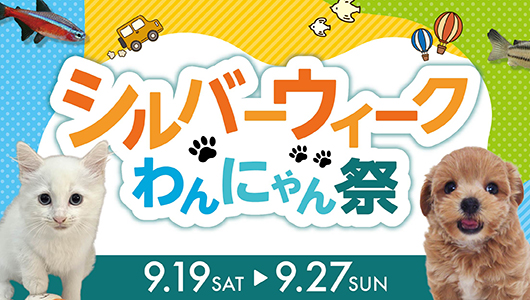 シルバーウィークわんにゃん祭