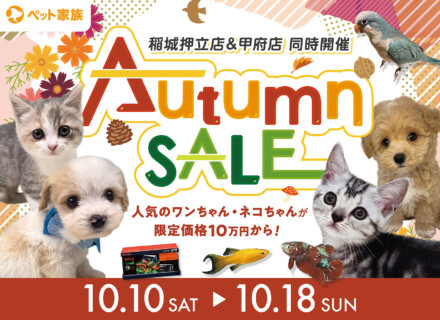 10月10日(土)～18日(日)までAutumnSALE開催！