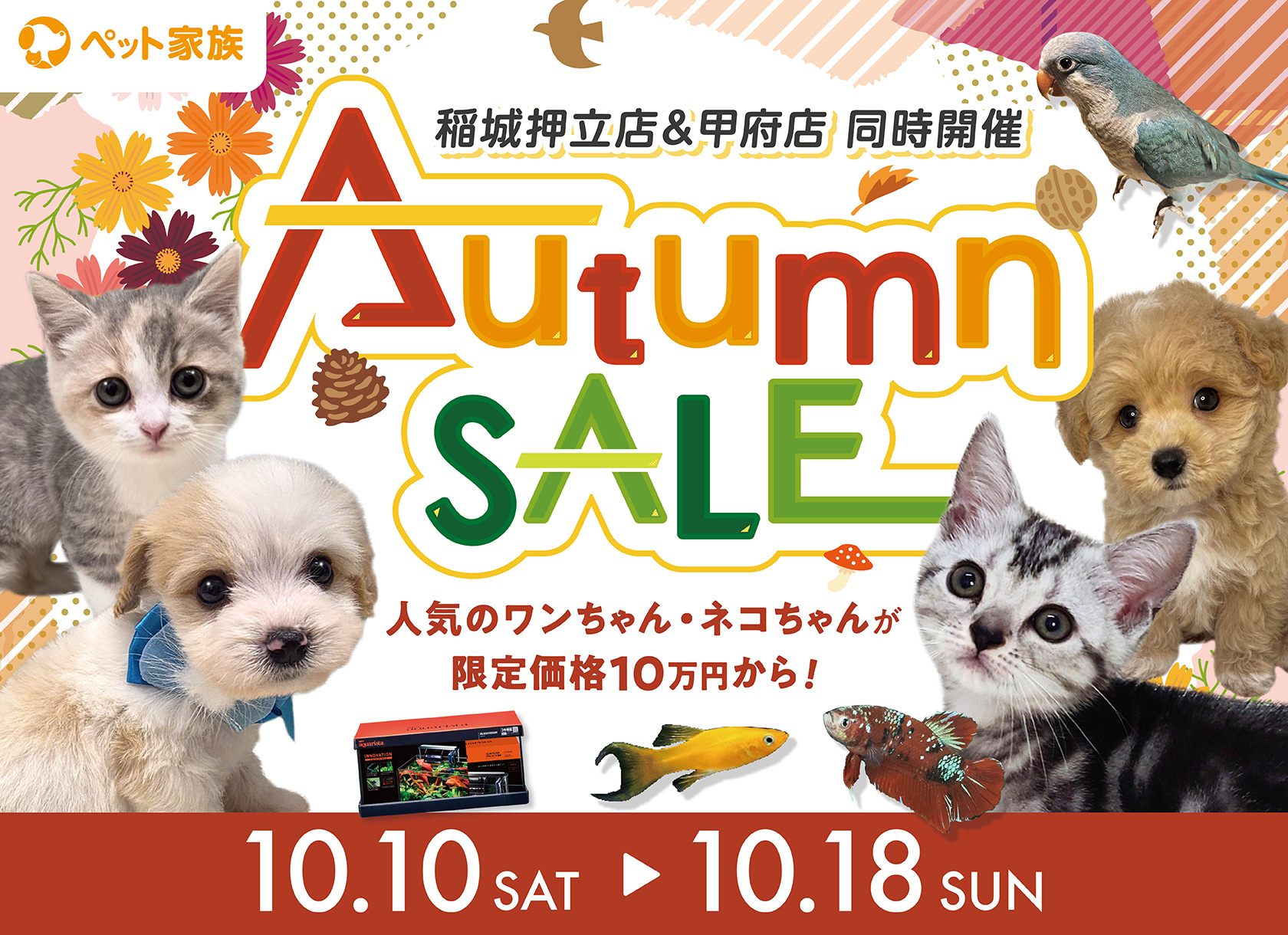 10月10日(土)～18日(日)までAutumnSALE開催！
