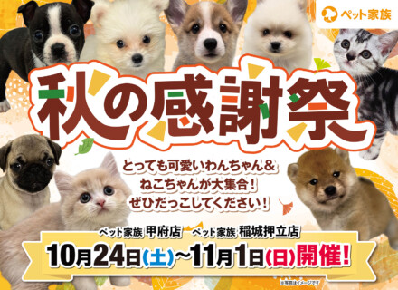 10月24日(土)～11月1日(日)「秋の感謝祭」開催！